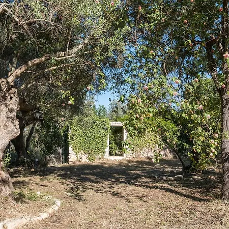 Apartment Masseria Il Roseto Ai Cappuccini By Wonderful Italy Martina Franca