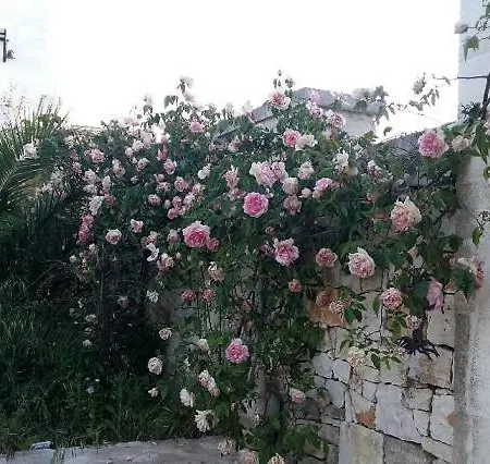 Masseria Il Roseto Ai Cappuccini Apartment *